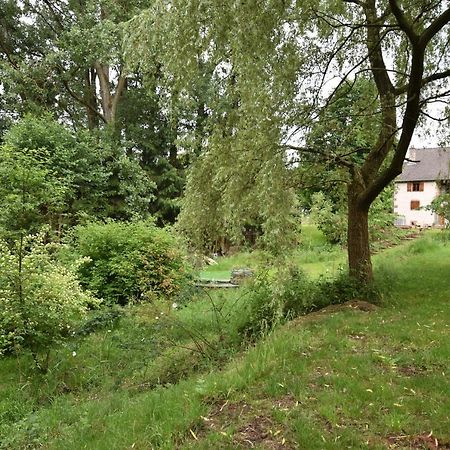 Serendipity Bed&Breakfast Saint-Die-des-Vosges Екстер'єр фото