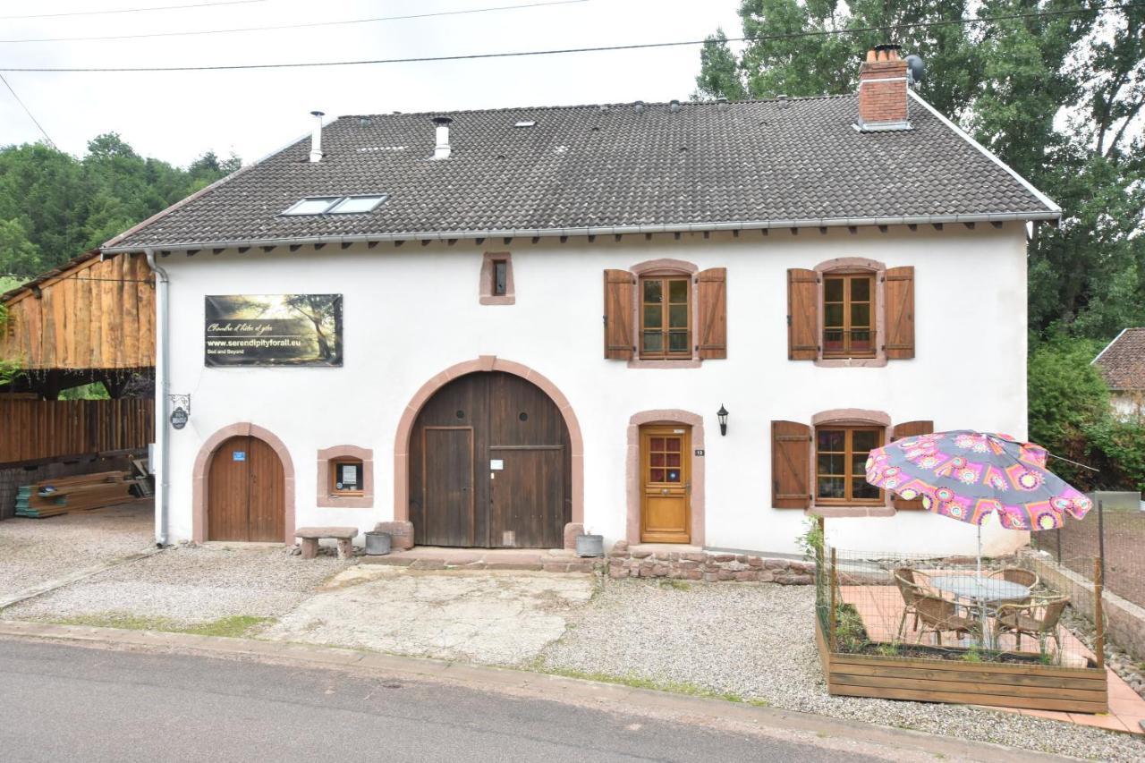 Serendipity Bed&Breakfast Saint-Die-des-Vosges Екстер'єр фото