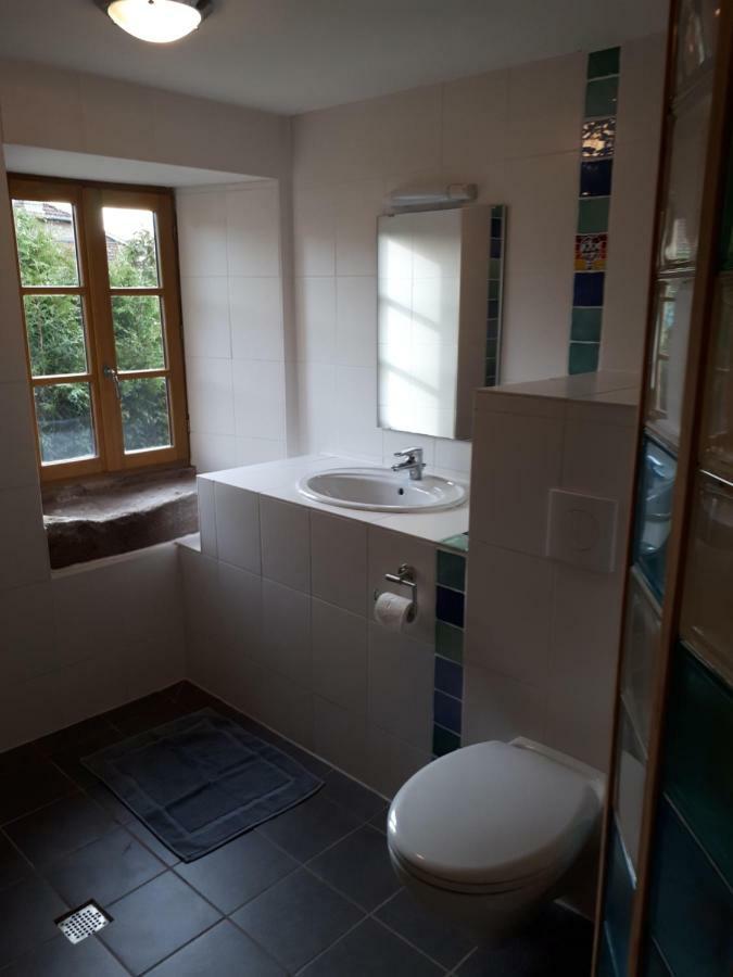 Serendipity Bed&Breakfast Saint-Die-des-Vosges Екстер'єр фото