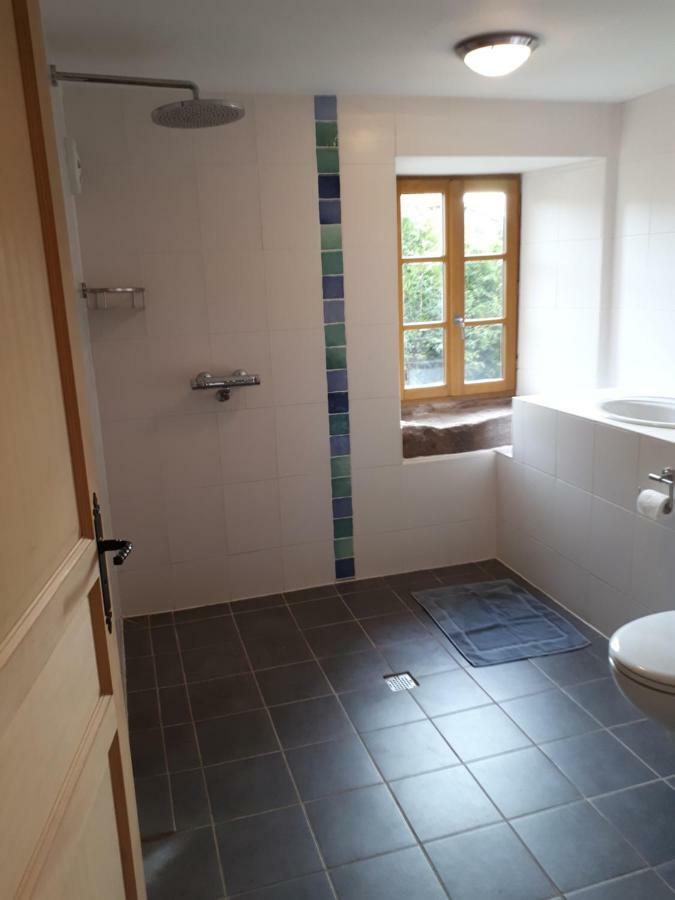Serendipity Bed&Breakfast Saint-Die-des-Vosges Екстер'єр фото