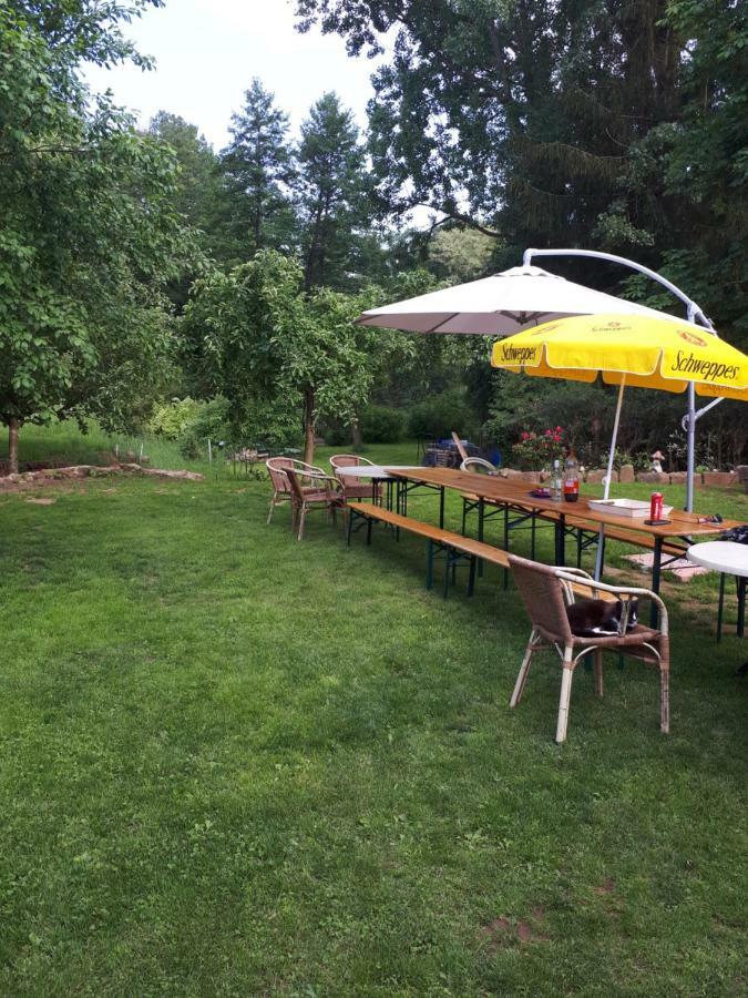 Serendipity Bed&Breakfast Saint-Die-des-Vosges Екстер'єр фото