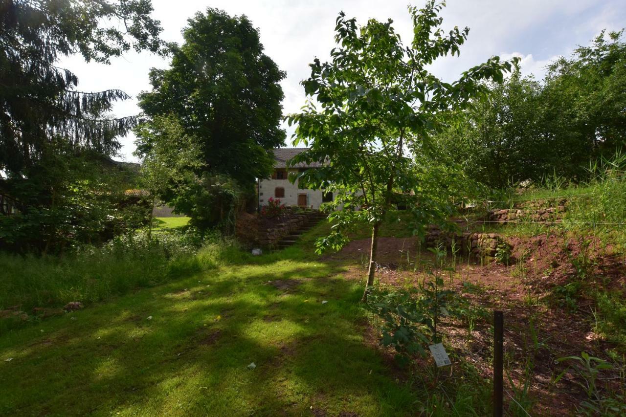 Serendipity Bed&Breakfast Saint-Die-des-Vosges Екстер'єр фото