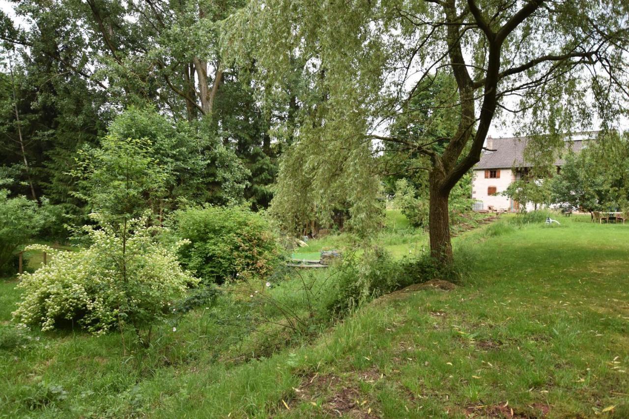 Serendipity Bed&Breakfast Saint-Die-des-Vosges Екстер'єр фото
